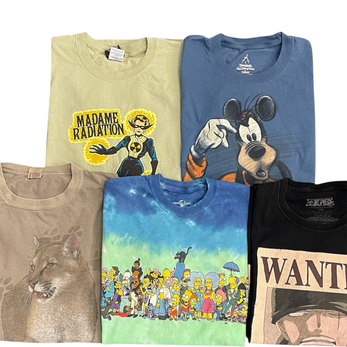 レギュラー Tシャツ スタッフ おすすめ セレクトアイテム まとめ売り 5枚セット 古着卸 MJ0067